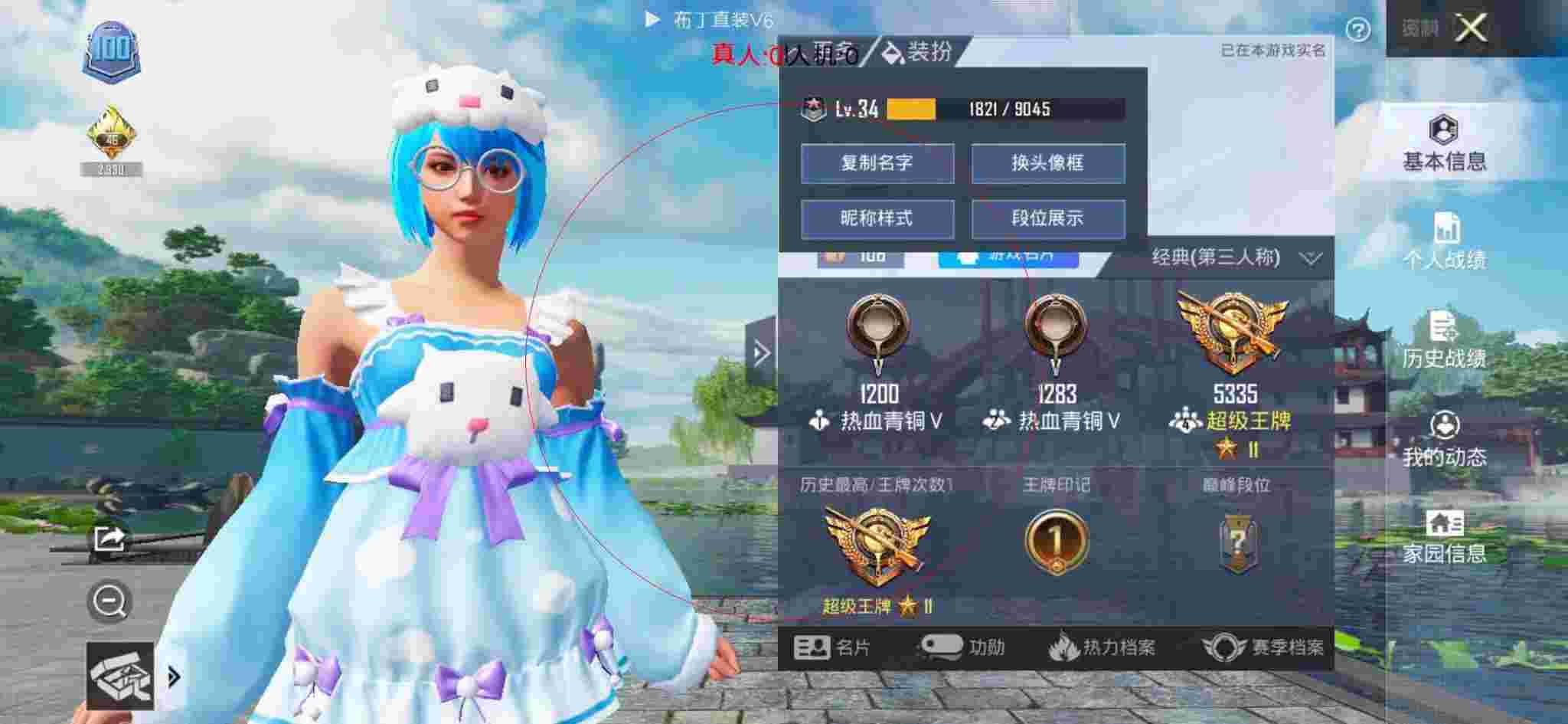 和平精英布丁直装透视 - 和平精英卡发型辅助预览图